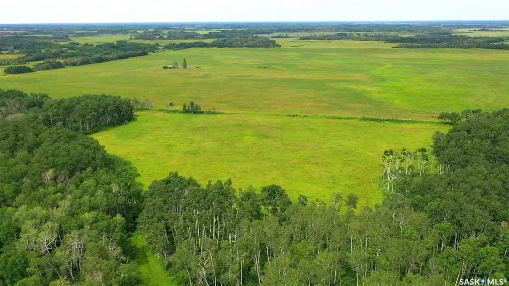 274 Rural Address Good Lake Rm No. 274 SK S0A 0L1
