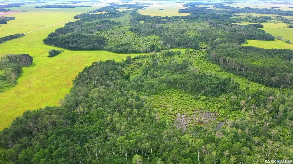 274 Rural Address Good Lake Rm No. 274 SK S0A 0L1
