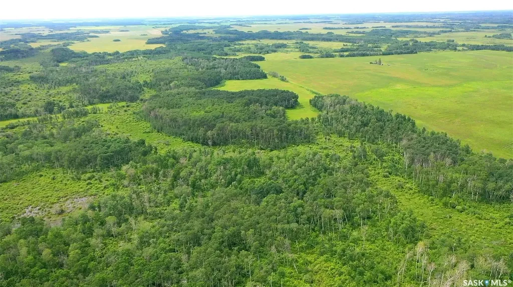 274 Rural Address Good Lake Rm No. 274 SK S0A 0L1