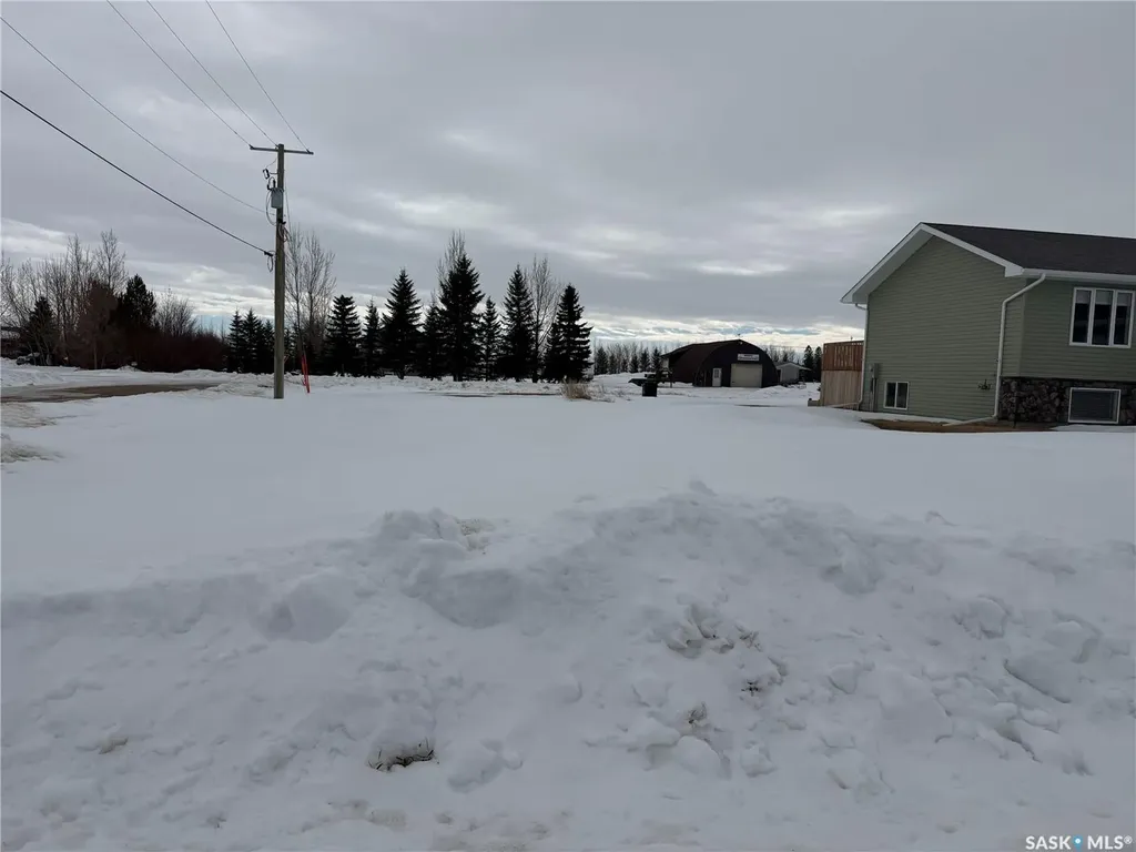 202 Willow Crescent Waldheim SK S0K 4R0