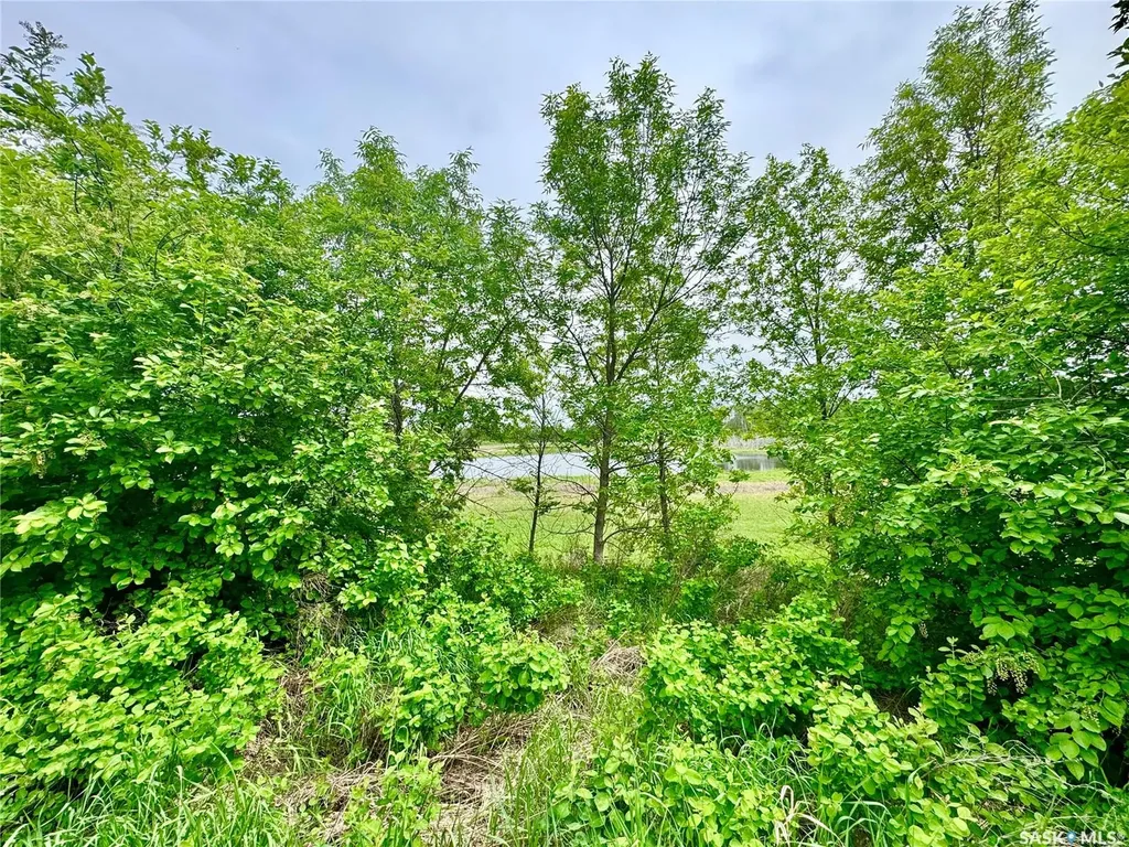 Rural Address Prince Albert Rm No. 461 SK S6V 5P9