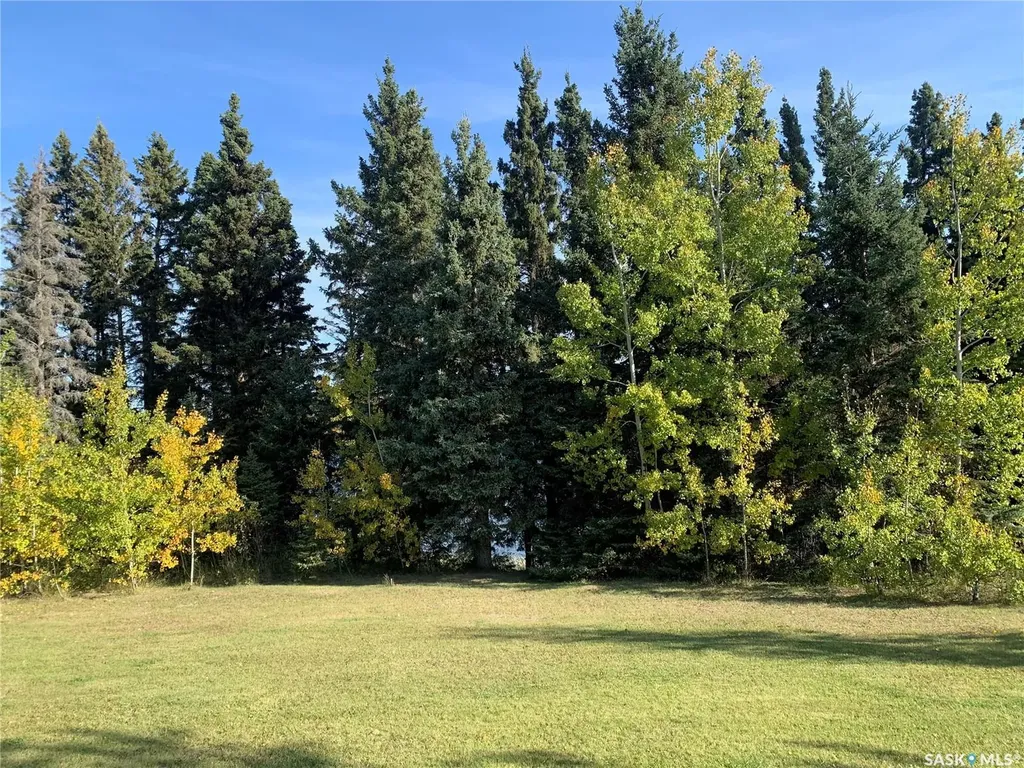 13 Jensen Bay Canwood Rm No. 494 SK S0J 0K0