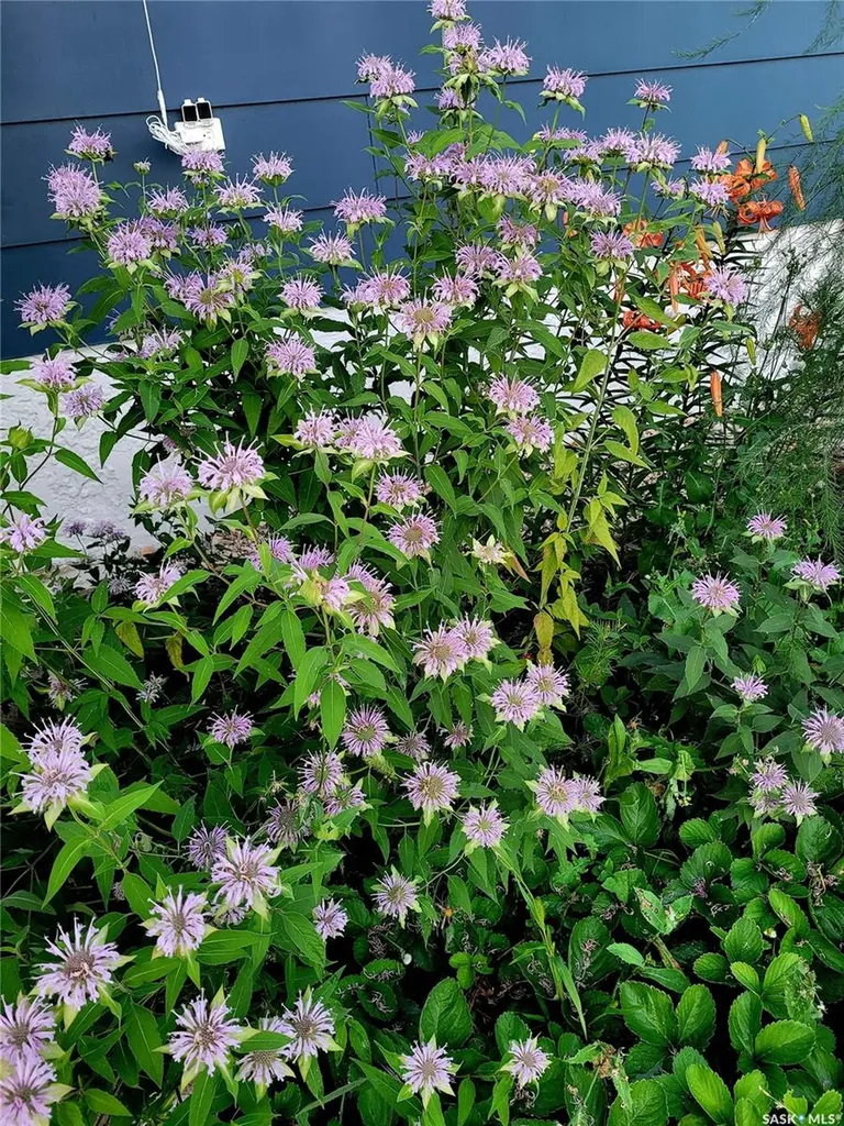 804 Pitt Street Indian Head SK S0G 2K0