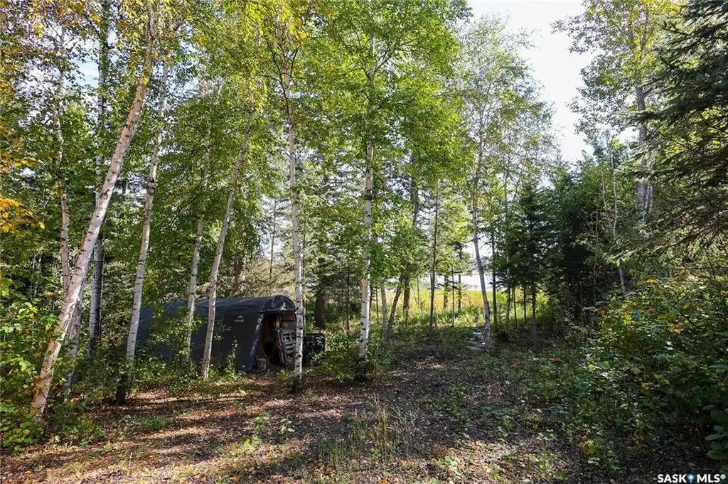 1305 Laurie Place Paddockwood Rm No. 520 SK S0J 0N0