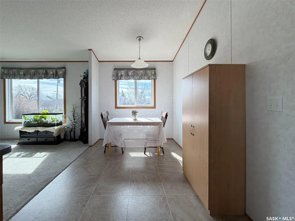 217 2nd Street W Climax SK S0N 0N0