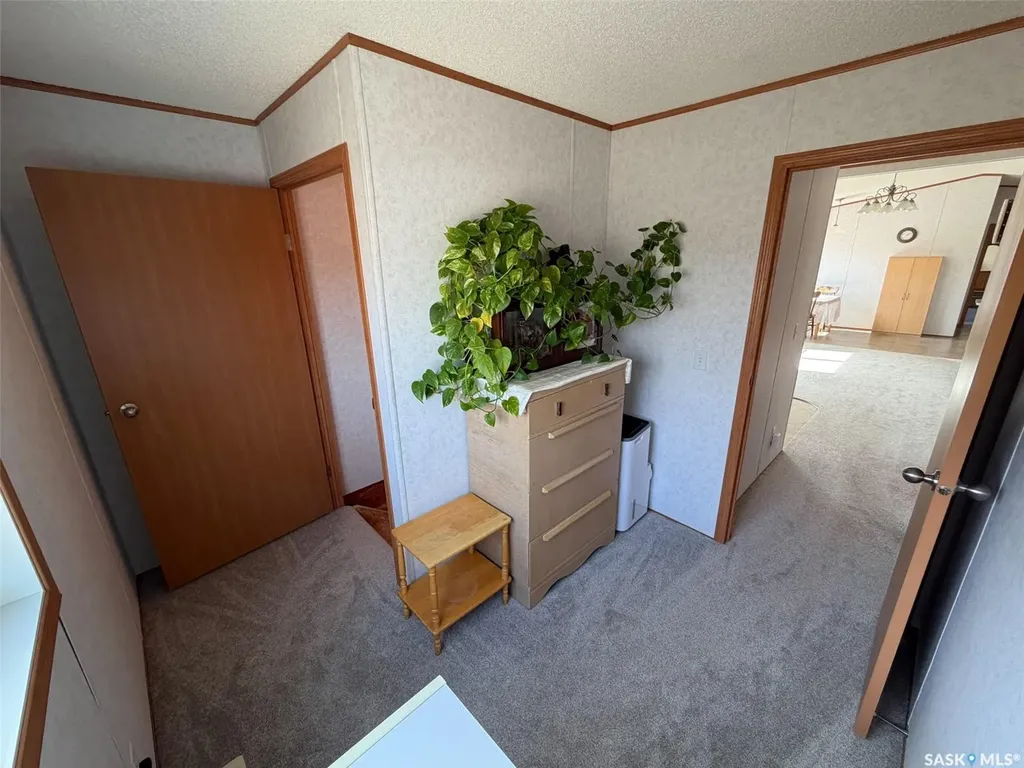 217 2nd Street W Climax SK S0N 0N0
