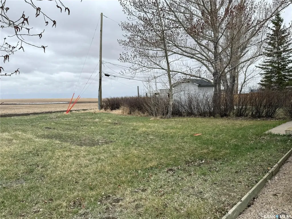 970 Larson Crescent Eston SK S0L 1A0