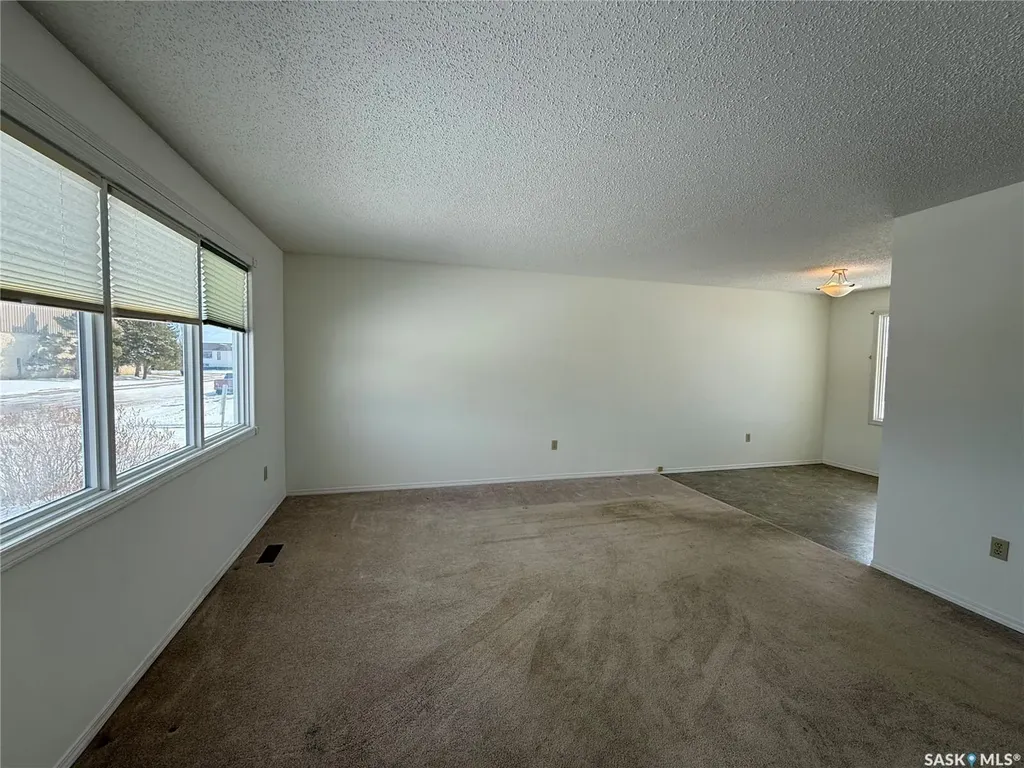 970 Larson Crescent Eston SK S0L 1A0