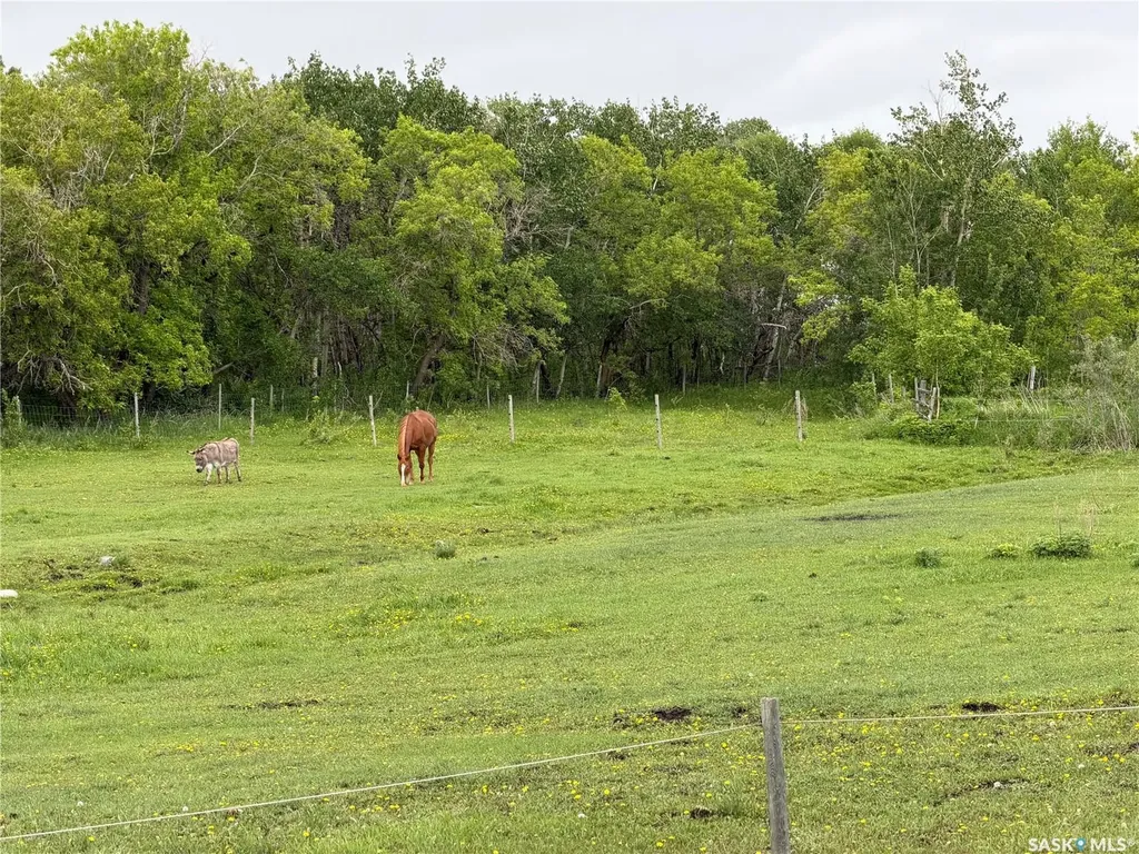 Rural Address Lake Lenore Rm No. 399 SK S0K 2J0