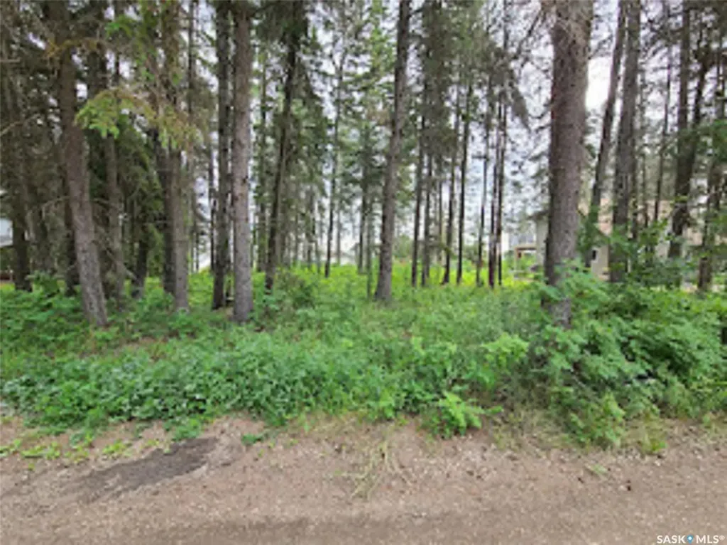 305 Spruce Road Mervin Rm No.499 SK S0M 1J0
