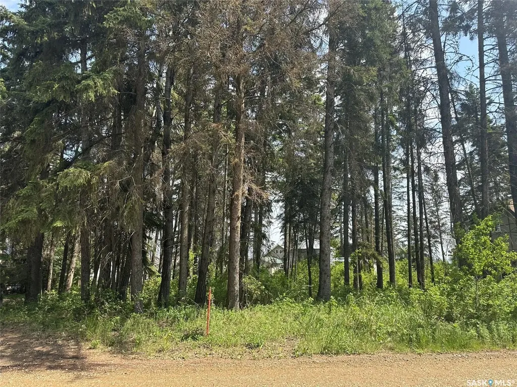 305 Spruce Road Mervin Rm No.499 SK S0M 1J0