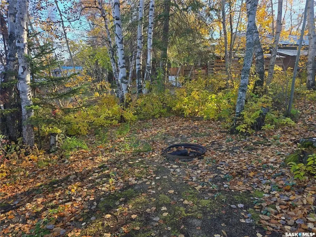 207 Pine Drive Tobin Lake SK S0E 1E0