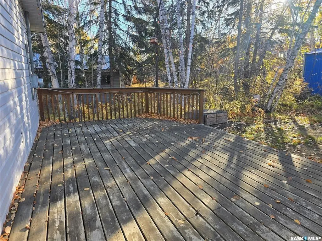 207 Pine Drive Tobin Lake SK S0E 1E0