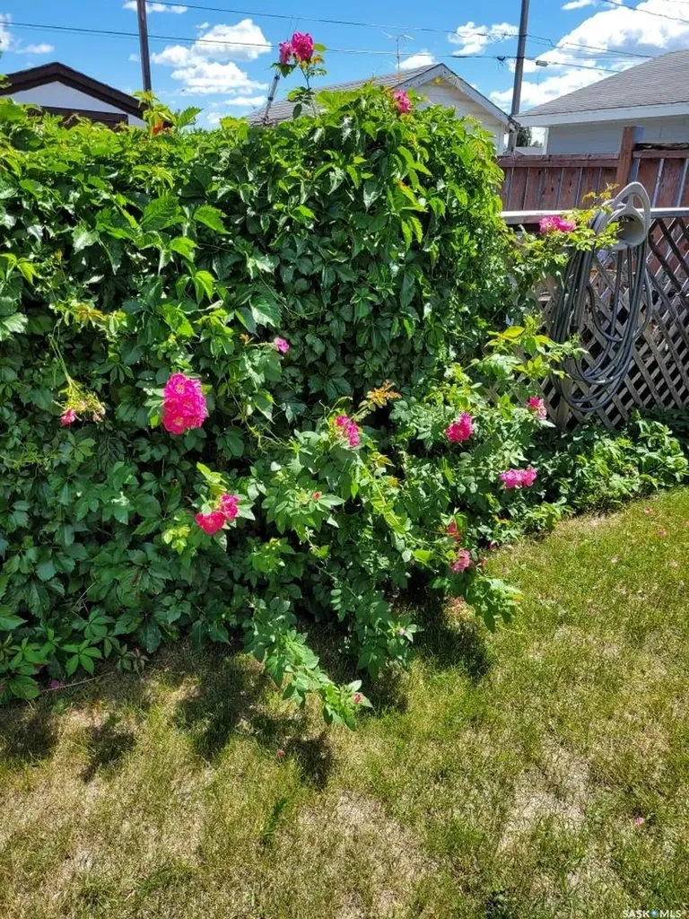 1103 3rd Street W Nipawin SK S0E 1E0