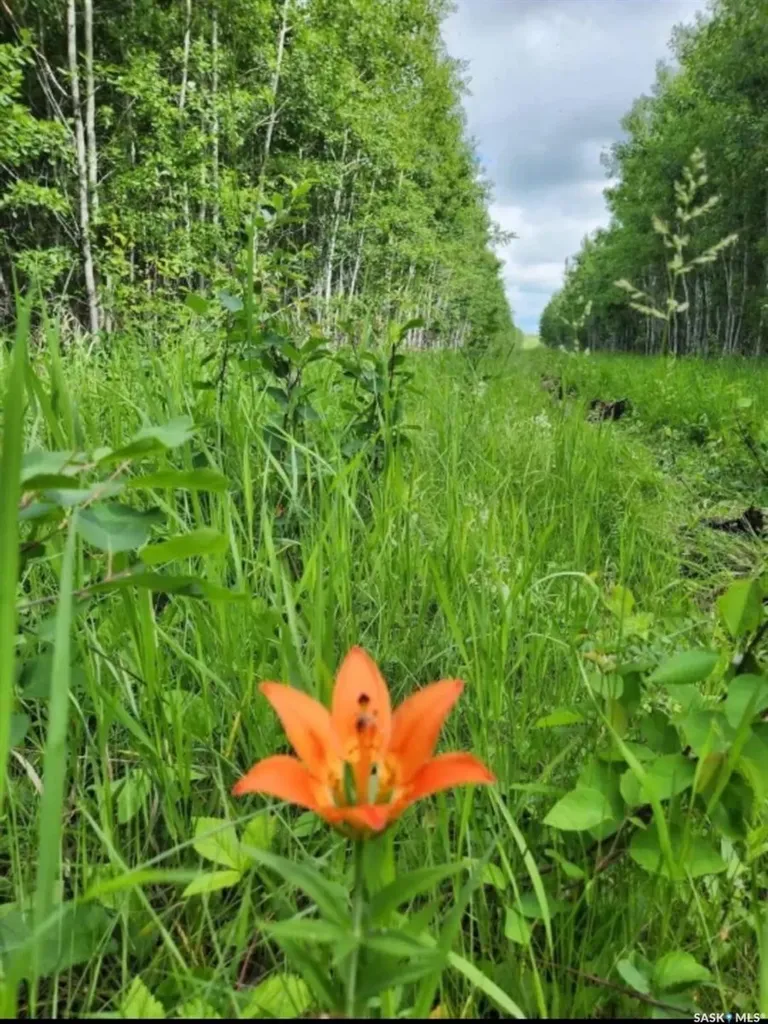 Rural Address Meadow Lake Rm No.588 SK S9X 1Y7