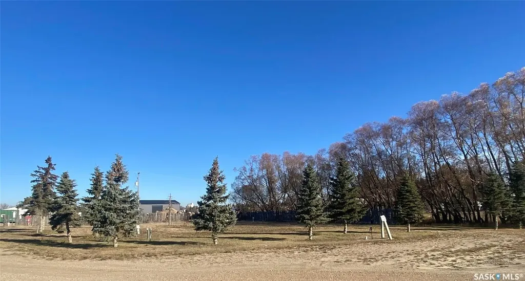 100 10 Highway Balcarres SK S0G 0C0