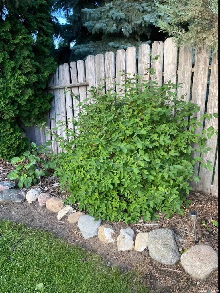 203 Konihowski Road Saskatoon SK S7S 1B2