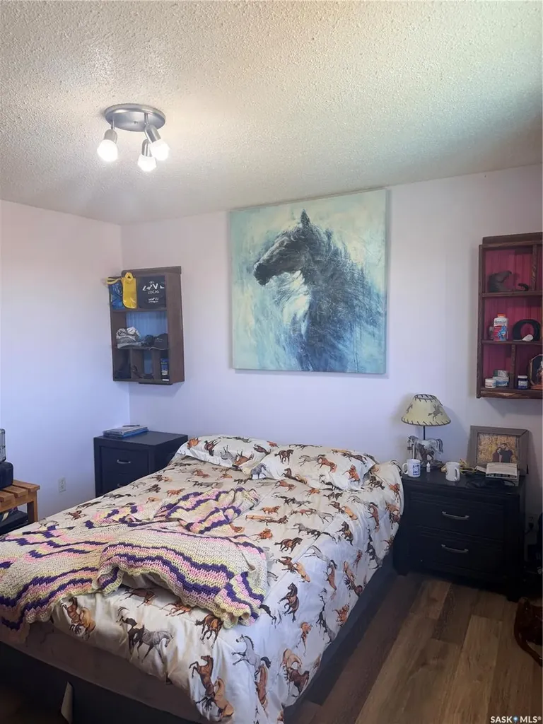 Mezzo Acreage Grid Road Tompkins SK S0N 2S0