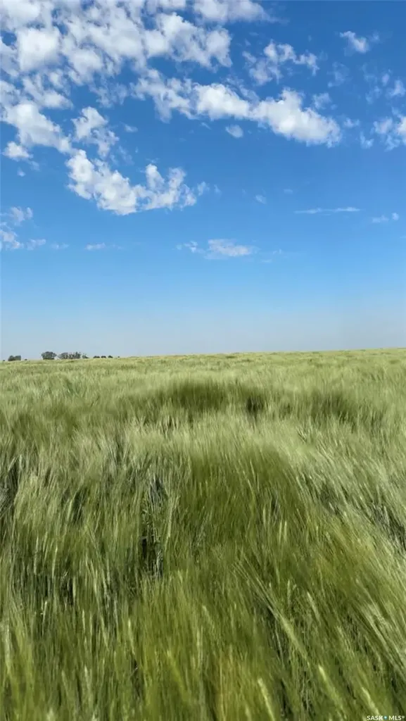 Rural Address Weyburn Rm No. 67 SK S4H 3J9