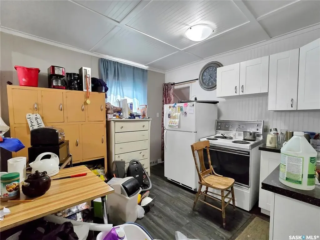203 U Avenue S Saskatoon SK S7M 1R8