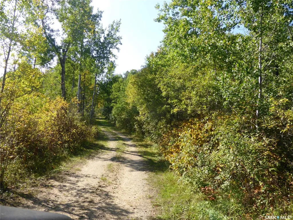 Rural Address Mervin Rm No.499 SK S0M 1J0