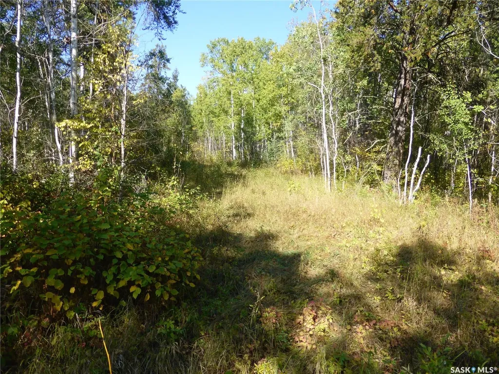 Rural Address Mervin Rm No.499 SK S0M 1J0