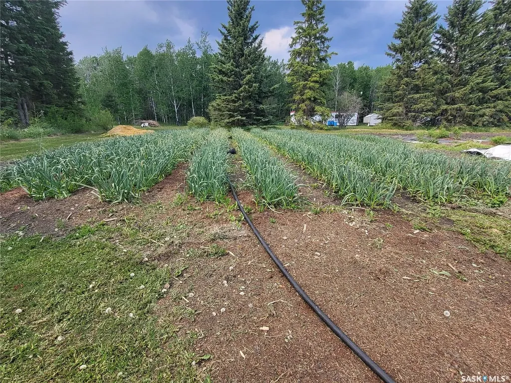 Rural Address Moose Range Rm No. 486 SK S0E 0L0
