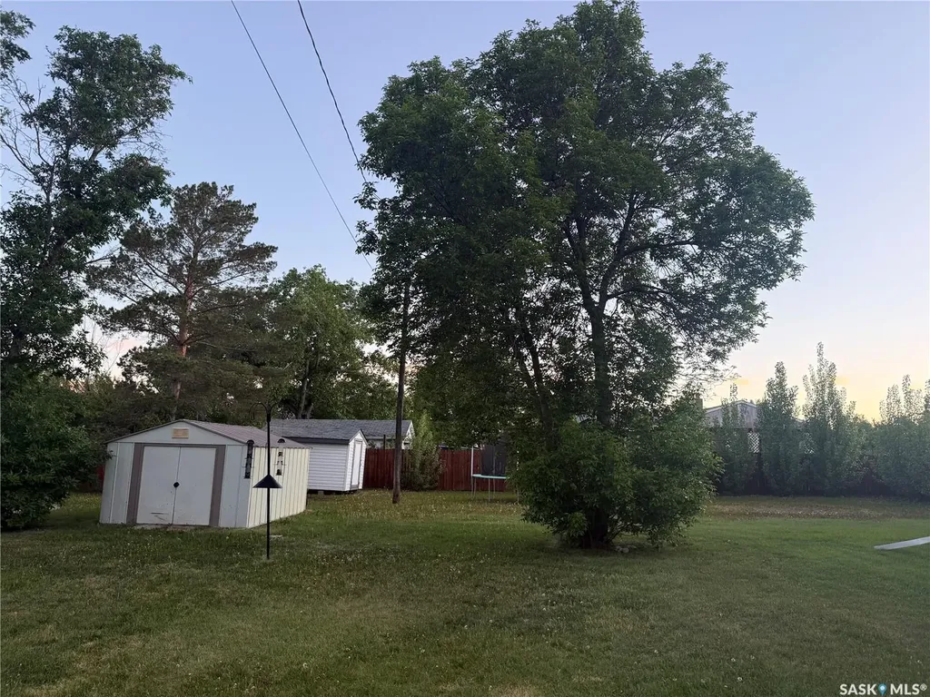 200 2nd Street W Dinsmore SK S0L 0T0