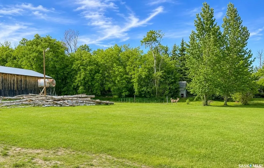 Rural Address Shellbrook Rm No. 493 SK S0J 2E0