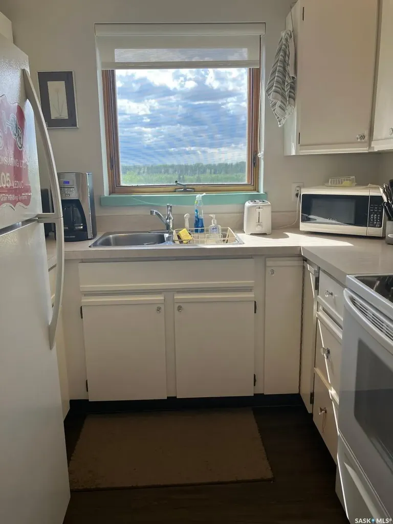102 Manor Drive Nipawin SK S0E 1E0