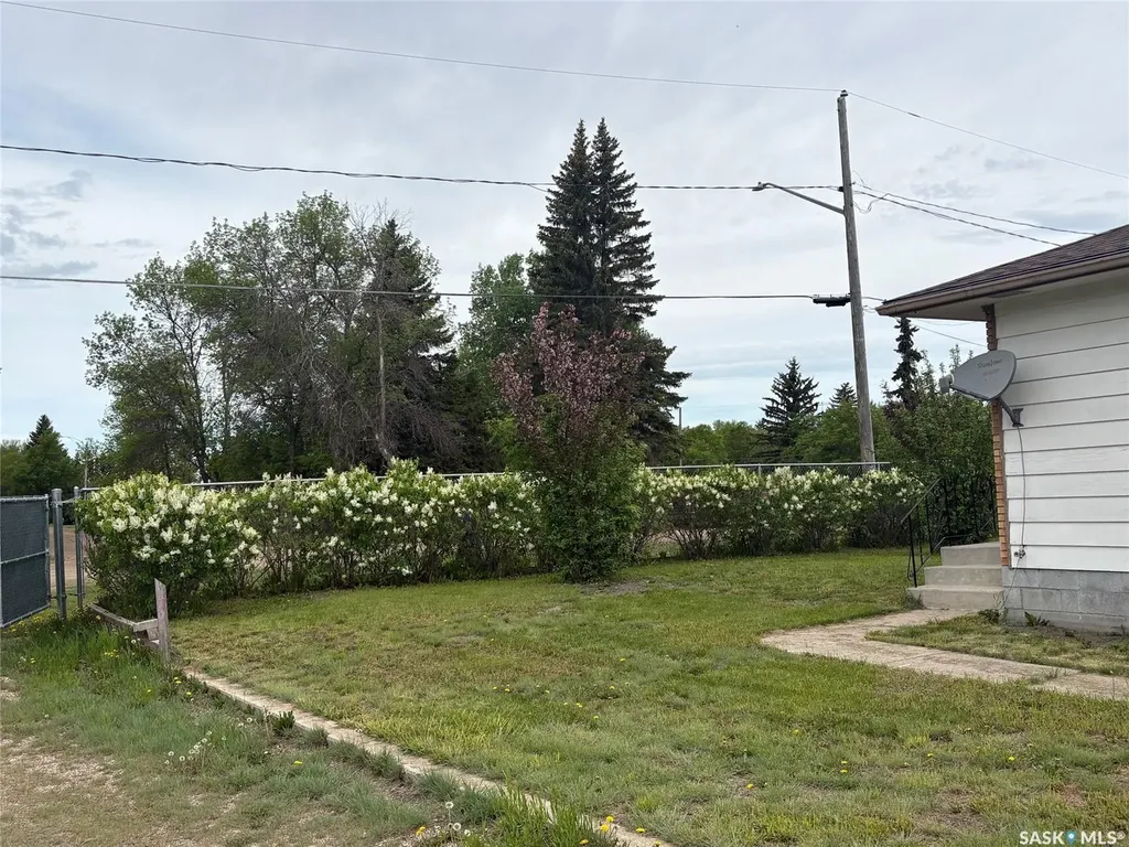 Rural Address Ituna Bon Accord Rm No. 246 SK S0A 1N0