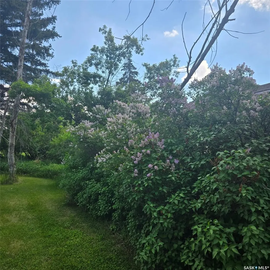 209 Bounty Street Conquest SK S0L 0L0