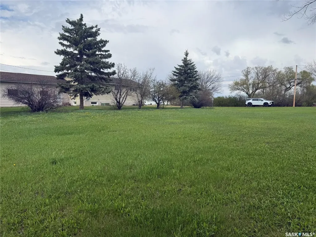 401 Golspie Street Craik SK S0G 0V0