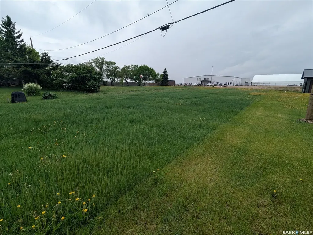 209 Lerew Street Vonda SK S0K 4N0