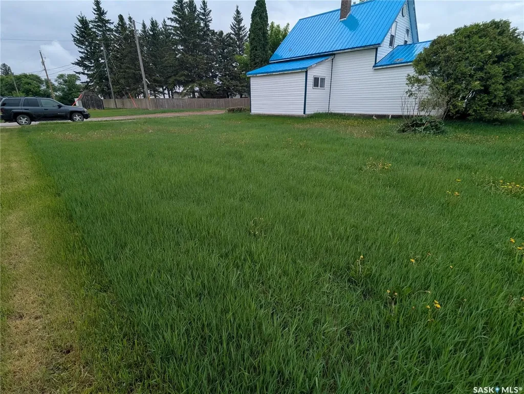 209 Lerew Street Vonda SK S0K 4N0