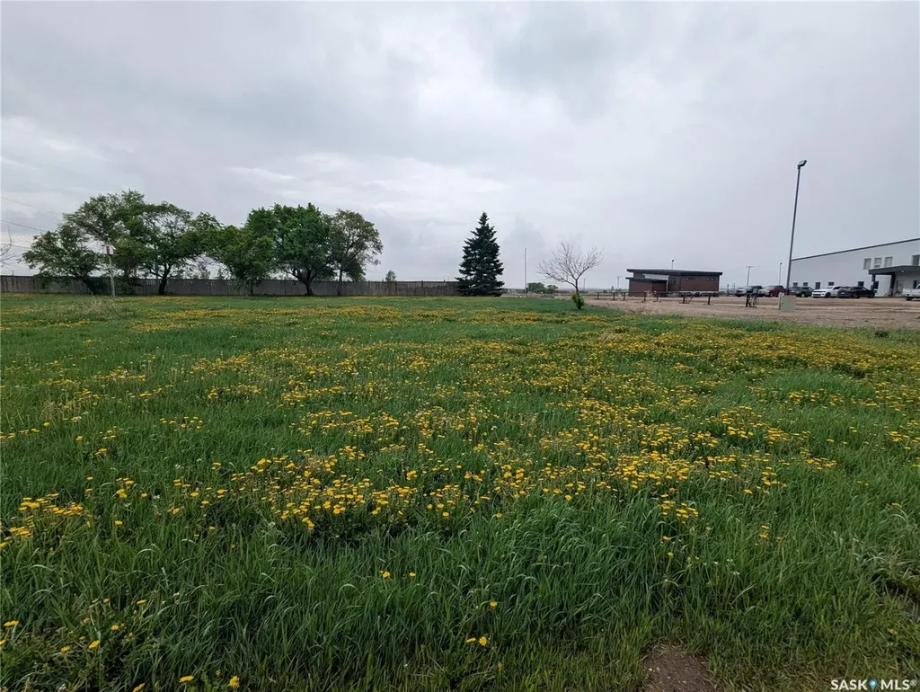 209 Lerew Street Vonda SK S0K 4N0