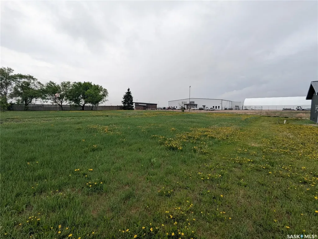 209 Lerew Street Vonda SK S0K 4N0