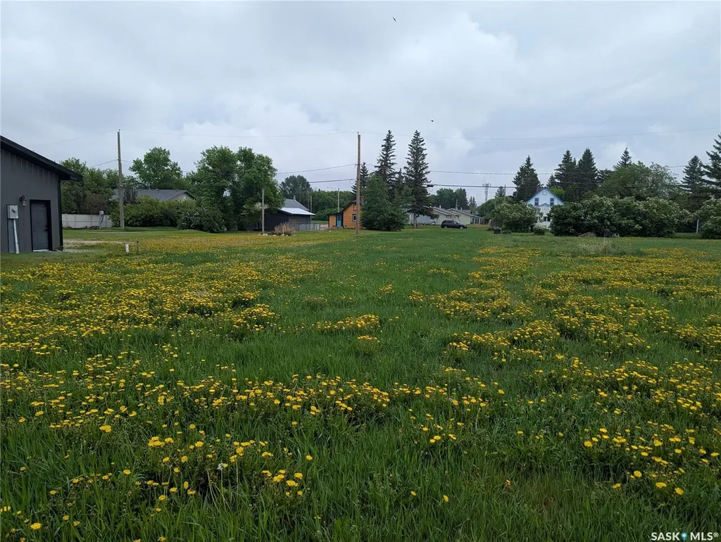 209 Lerew Street Vonda SK S0K 4N0