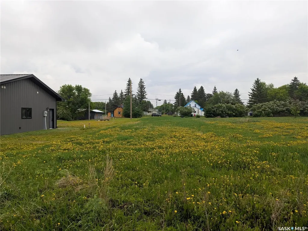 209 Lerew Street Vonda SK S0K 4N0