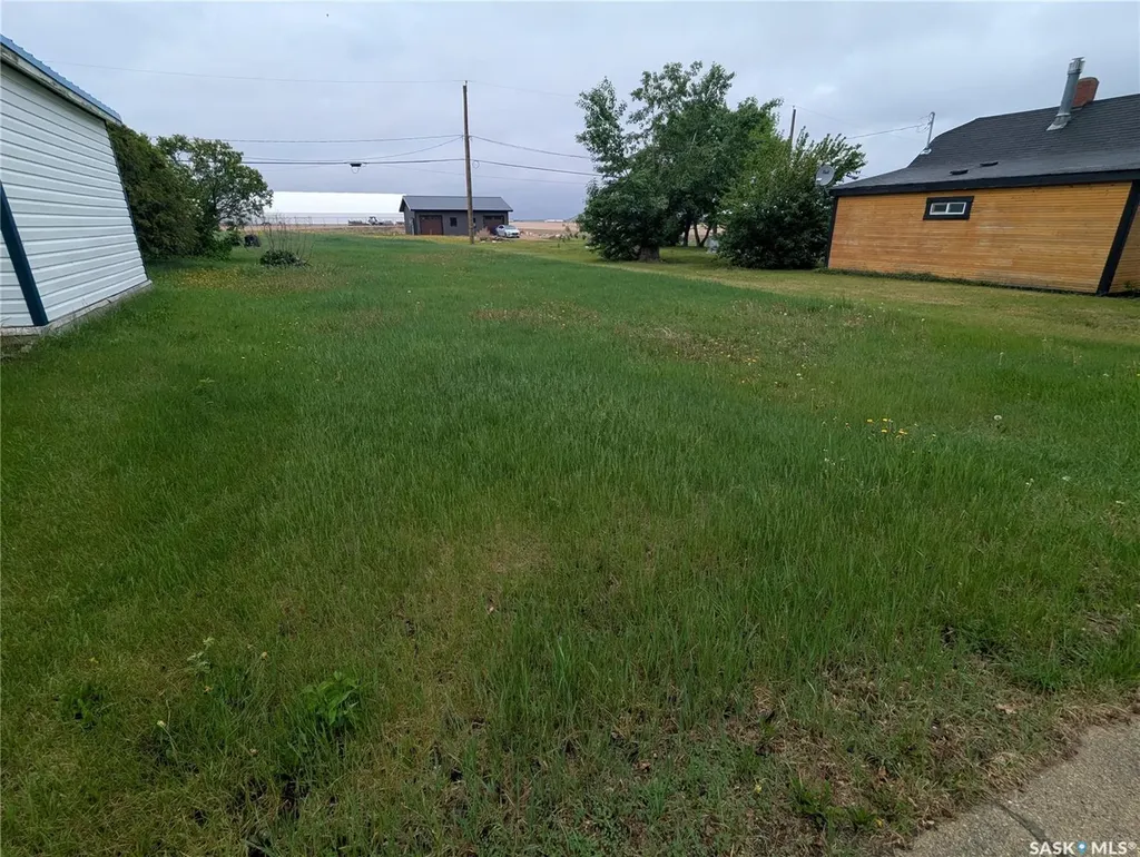 209 Lerew Street Vonda SK S0K 4N0