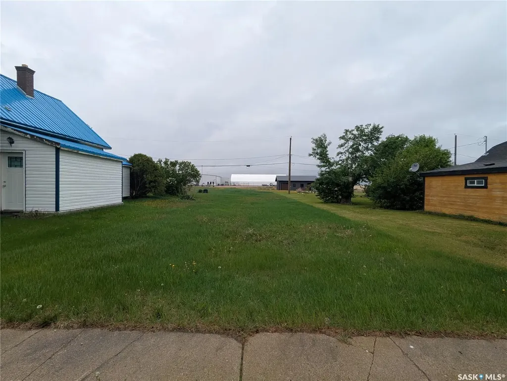 209 Lerew Street Vonda SK S0K 4N0