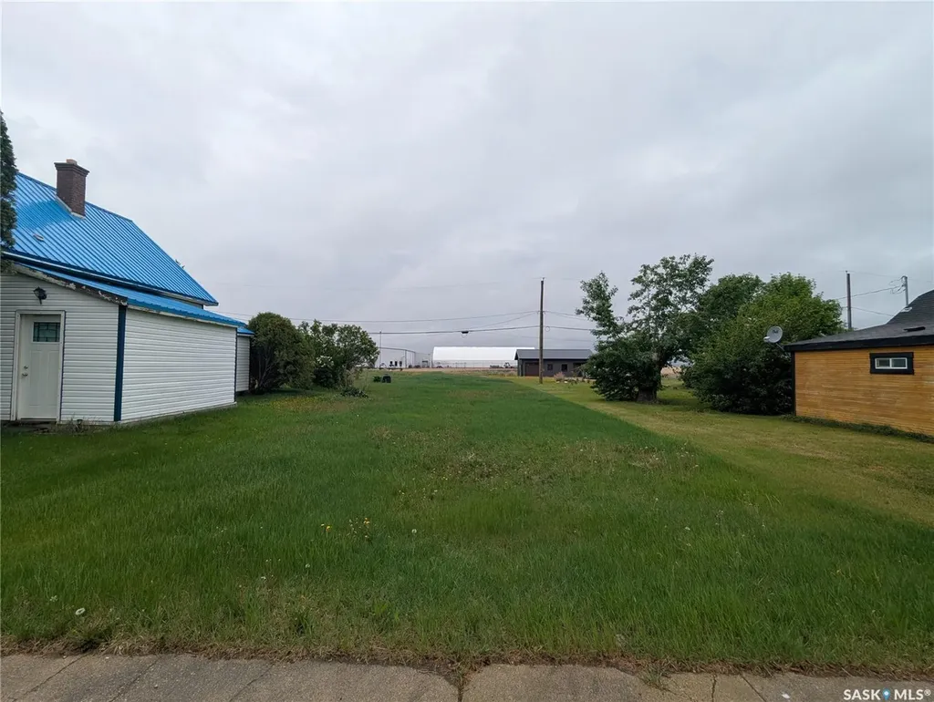 209 Lerew Street Vonda SK S0K 4N0