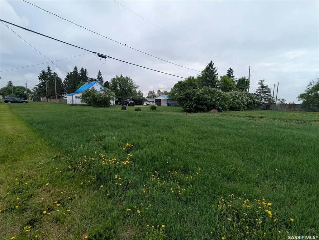 209 Lerew Street Vonda SK S0K 4N0