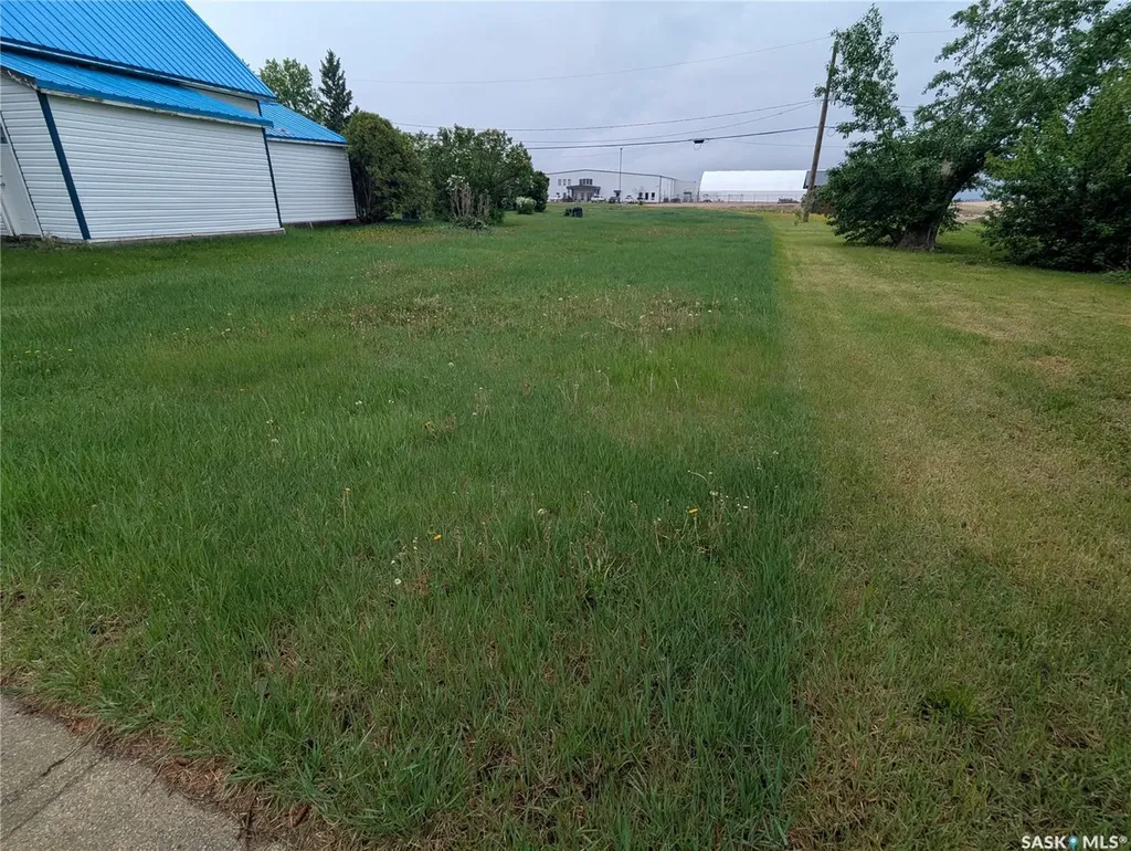 209 Lerew Street Vonda SK S0K 4N0