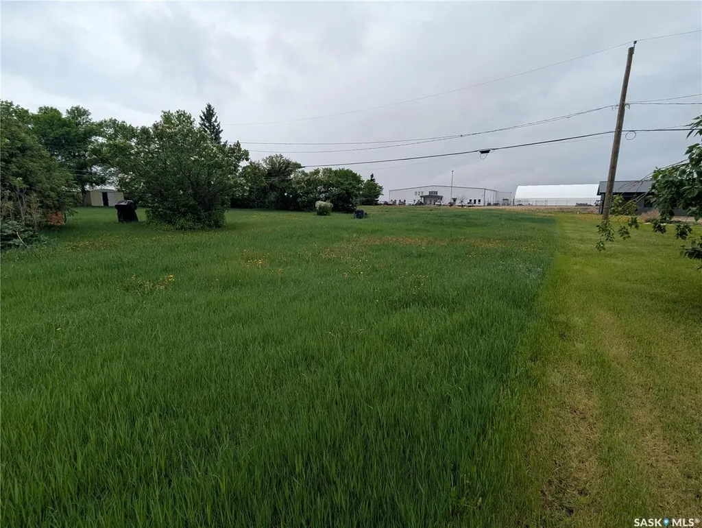 209 Lerew Street Vonda SK S0K 4N0