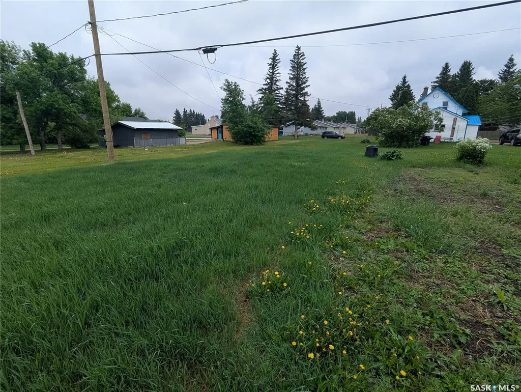 209 Lerew Street Vonda SK S0K 4N0