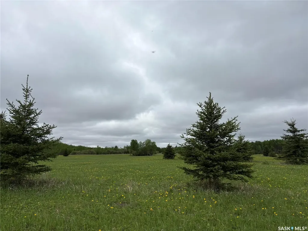 Rural Address Hazel Dell Rm No. 335 SK S0A 2H0