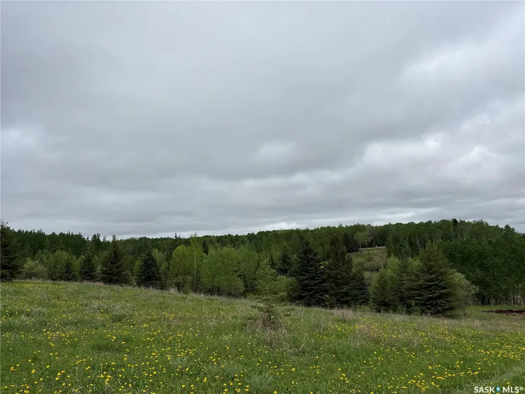 Rural Address Hazel Dell Rm No. 335 SK S0A 2H0