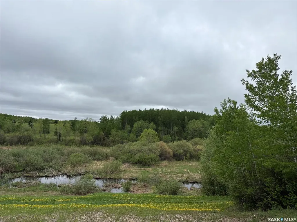 Rural Address Hazel Dell Rm No. 335 SK S0A 2H0