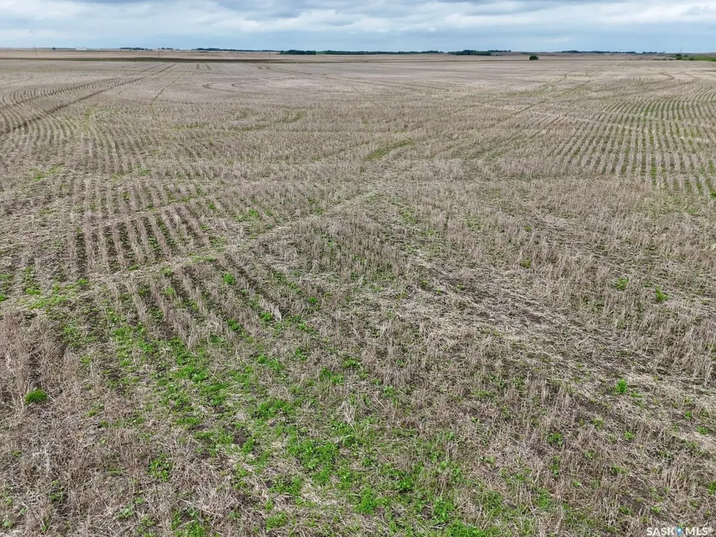 Rural Address Meacham SK S0K 0C3